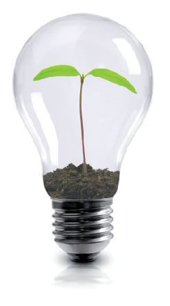 lampadina
